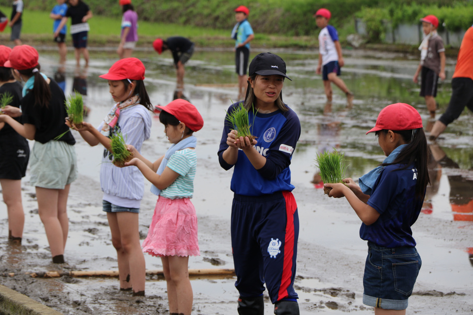 相模原市立新磯小学校の総合学習の授業にて、田植え体験に参加！